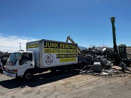 Best Dumpster Rental Services  in Twin Grove, IL